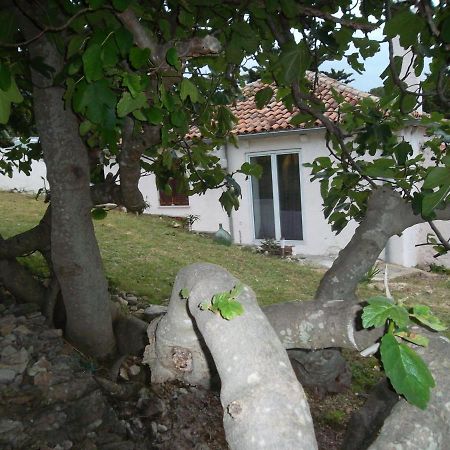 Apartment Damir Nerezine Zewnętrze zdjęcie